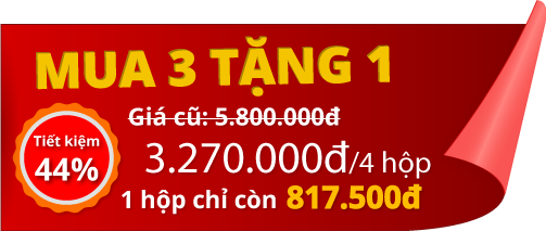 mua-3-tang-1