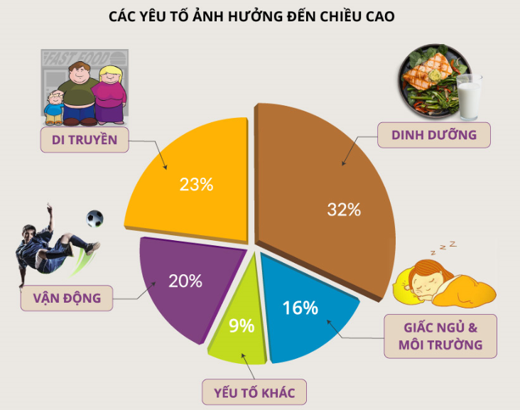 các yếu tố ảnh hưởn đến phát triển chiều cao